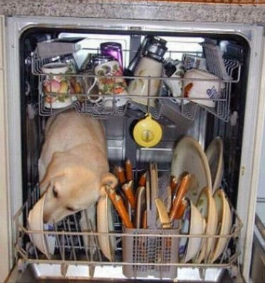 redneck dishwasher