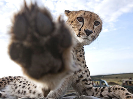 the fastest high five in the world!