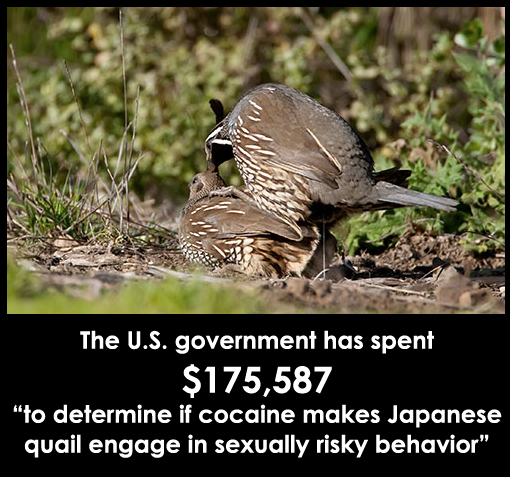 Wasteful Government Spending