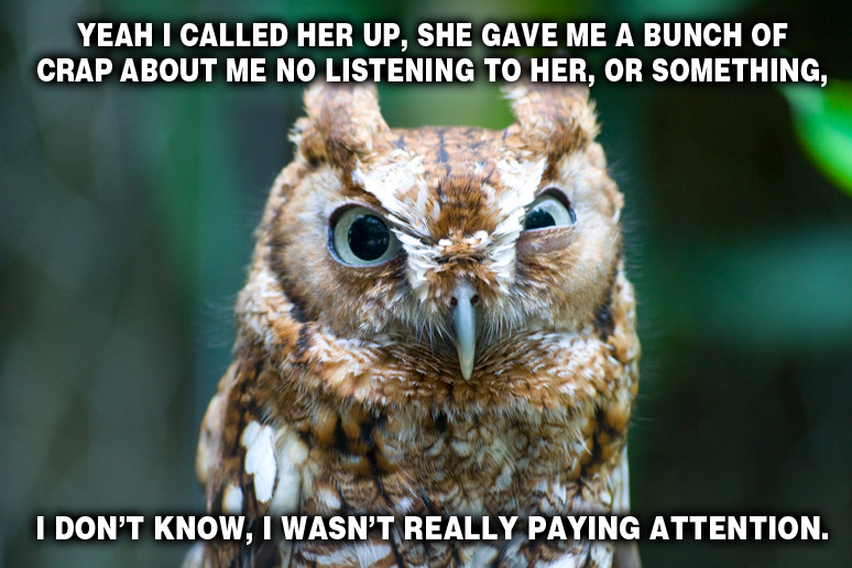 Acting Owl