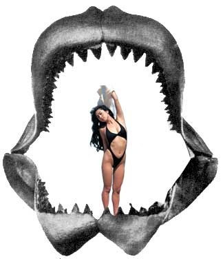 WHAT'S A MEGALODON? BASICALLY A 50 TON GREAT WHITE