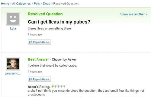 Yahoo Answers Gone Wrong Gallery Ebaum S World