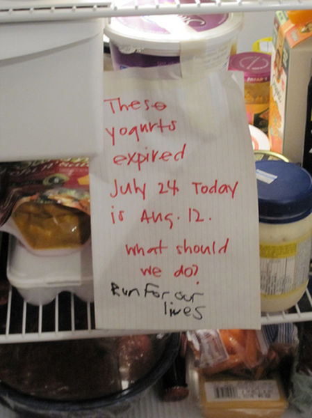 funny roommate messages - These yogurts expired July 24 Today is Ang. 12. What should we doo Run For our lives