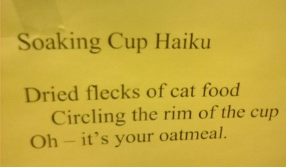funniest haikus - Soaking Cup Haiku Dried flecks of cat food Circling the rim of the cup Oh it's your oatmeal.