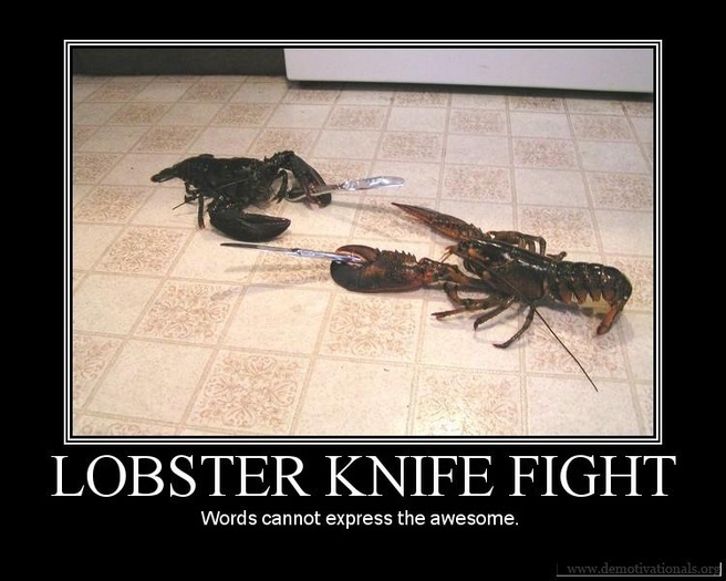 lobsters fighting meme - Lobster Knife Fight Words cannot express the awesome. |