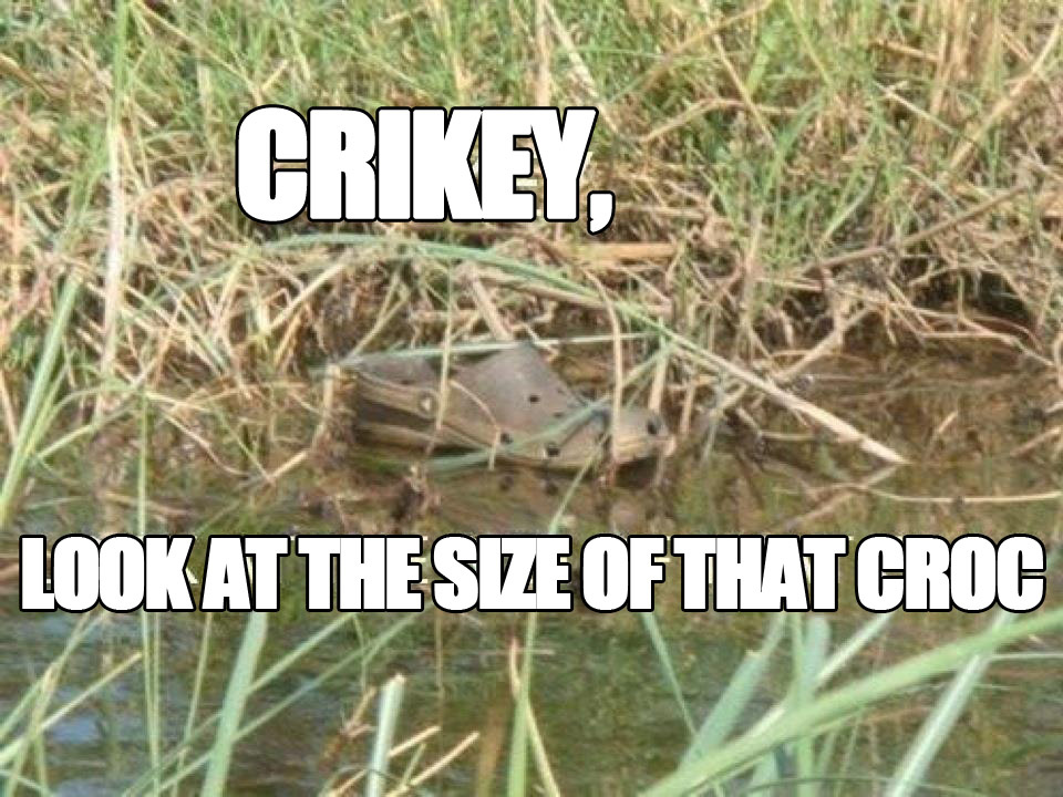 steve irwin croc meme - Es Crikey Look At The Size Of That Croc