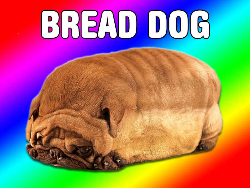 bread dog pokemon card - Bread Dog
