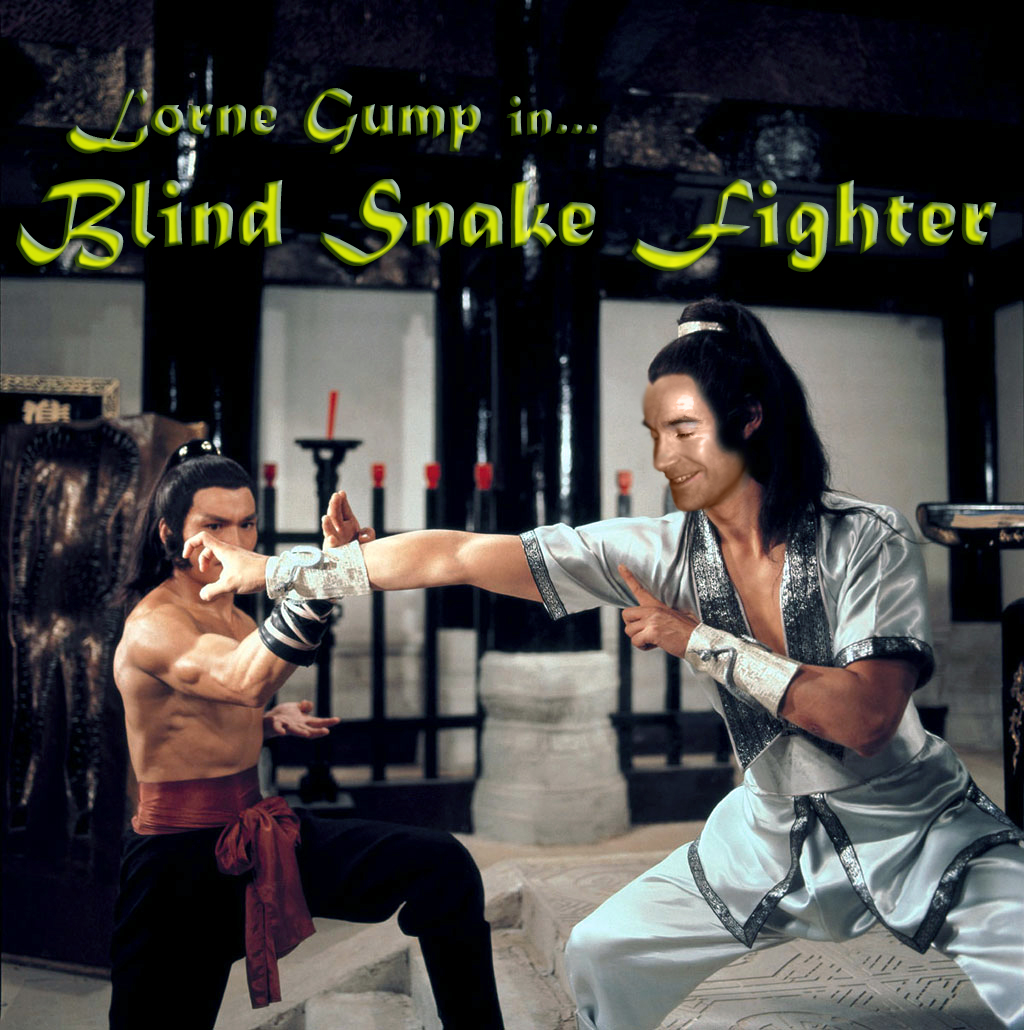 Lorne Gump in Blind Snake Fighter