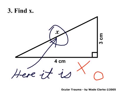 Funny exam answers