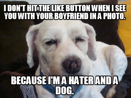 dank meme gaylord palms resort & convention center - I Don'T Hit The Button Whent See You With Your Boyfriend In A Photo. Because I'M A Hater And A Dog.