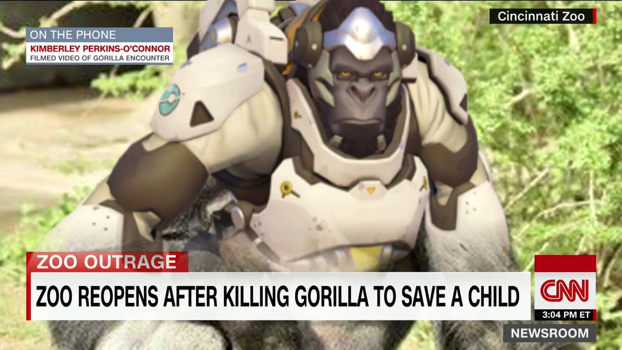 dank meme harambe overwatch - Cincinnati Zoo On The Phone Kimberley PerkinsO'Connor Filmed Video Of Gorilla Encounter Zoo Outrage Zoo Reopens After Killing Gorilla To Save A Child Cm Et Newsroom