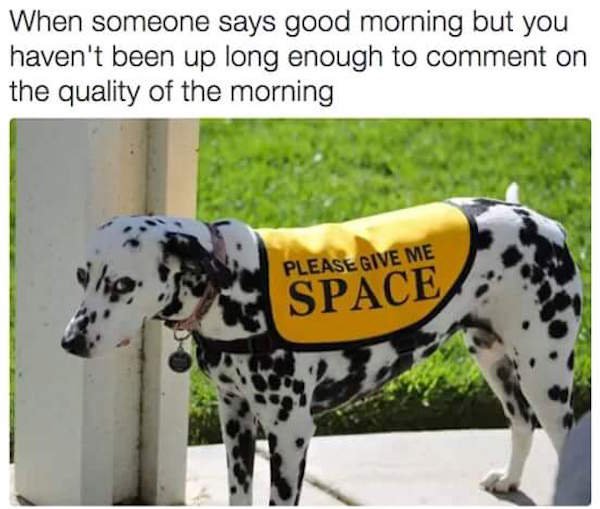 memes - someone says good morning - When someone says good morning but you haven't been up long enough to comment on the quality of the morning Please Give Me Space