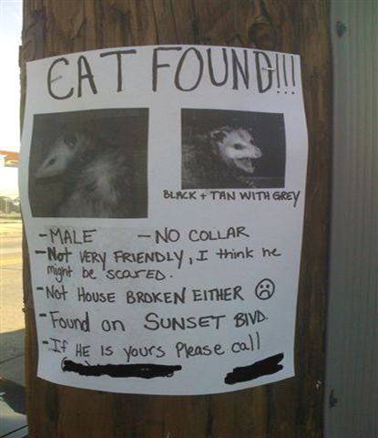 Retard found a lost cat.