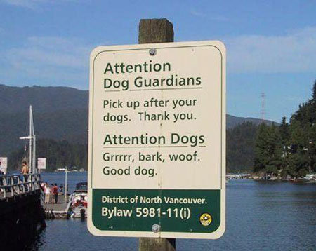 Pick up after your dogs. Thank you.