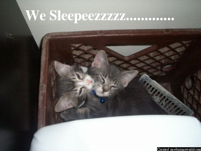 We Sleepeezzzzzz