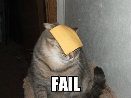 The famous cheezecat pic with the oh-so famous fail letters