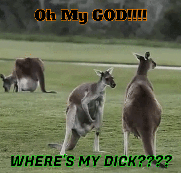 Kanga playin' with his ballls when all of a sudden...realizes his dick his missing!