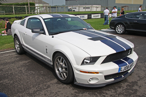 2008 shebly gt 500