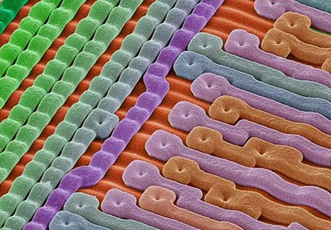  The surface of an Erasable Programmable Read-Only Memory silicon microchip