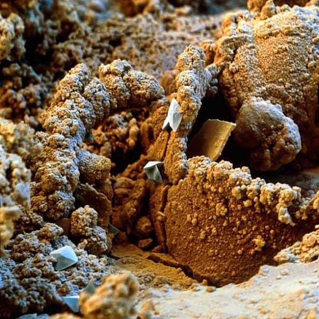  The corroded surface of a rusty metal nail
