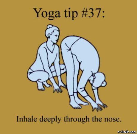 funny yoga - Yoga tip Inhale deeply through the nose. evilmilk.com