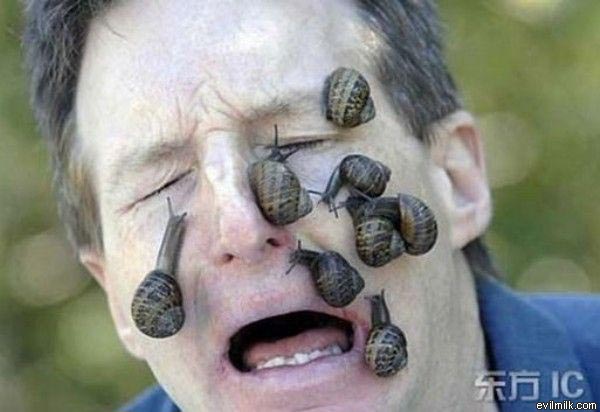 licking snails - Ic evilmilk.com