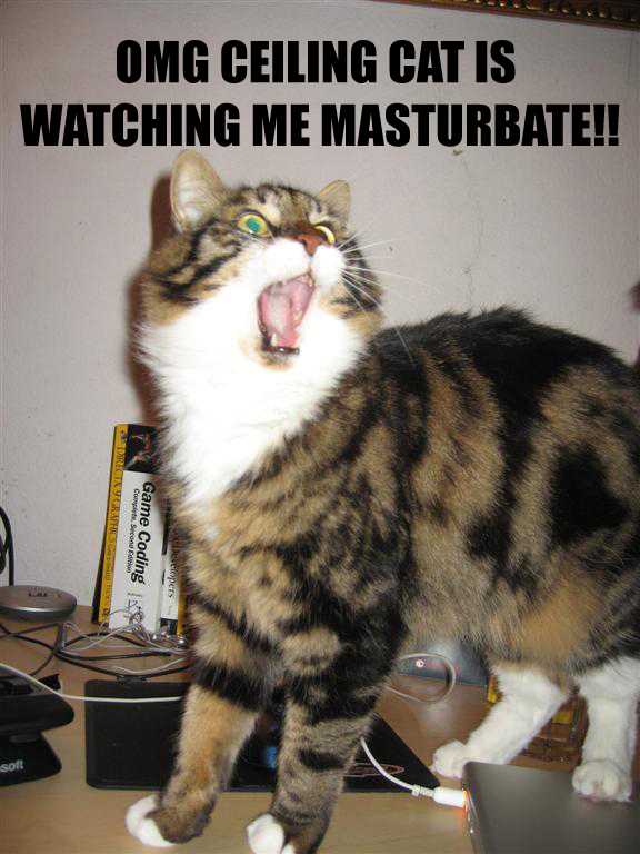 ceiling cat is watching me - Omg Ceiling Cat Is Watching Me Masturbate!! Come Direciny Grafosst Second Game Coding Ne E opers soft