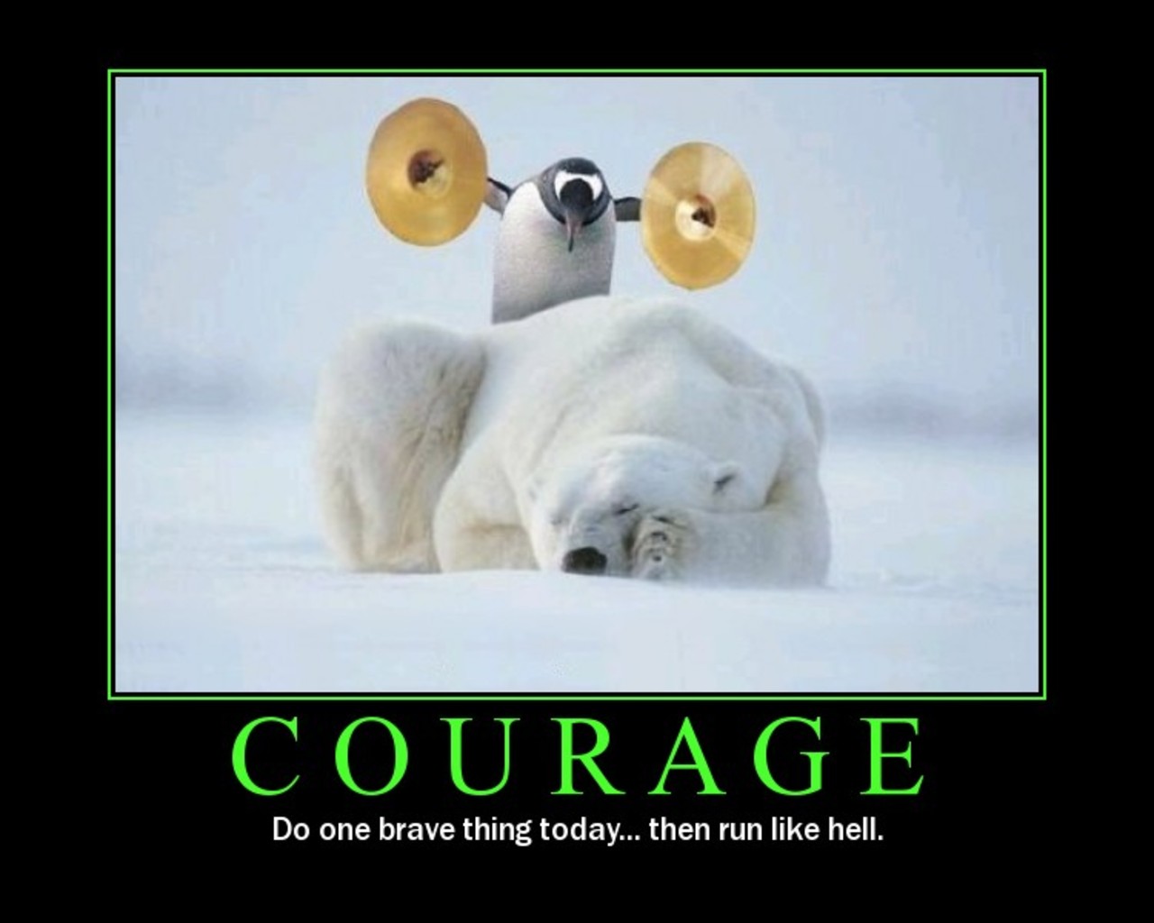 funny inspirational quotes - Courage Do one brave thing today... then run hell.
