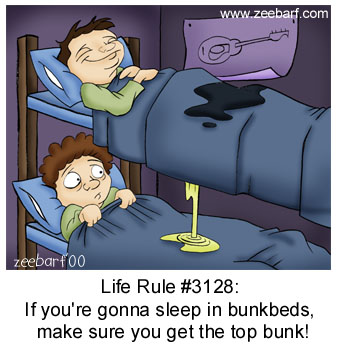 cartoon - Luc zeebarf00 Life Rule If you're gonna sleep in bunkbeds, make sure you get the top bunk!