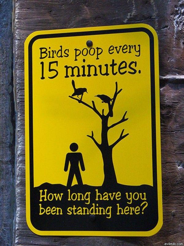 adventure aquarium - Birds poop every 15 minutes. How long have you been standing here? evilmilk.com