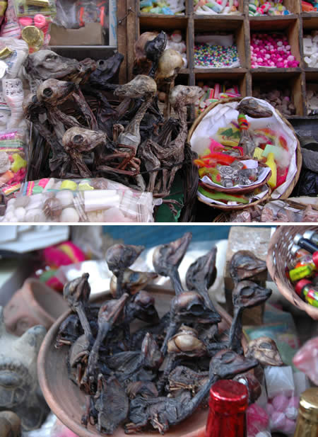 Bolivian Witch Market