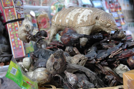 Bolivian Witch Market