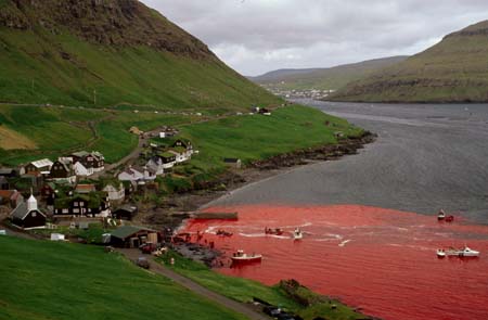 Sea of Blood