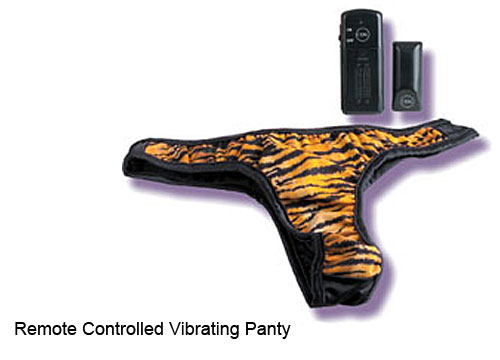 Remote Controlled Vibrating Panty