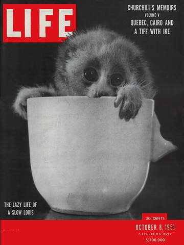 Wacky Old "Life" Covers