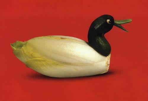 Animals Made With Vegetables - Gallery