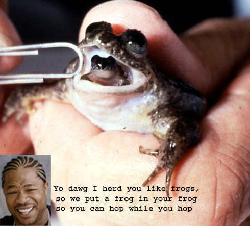 Yo Dawg I herd you like frogs