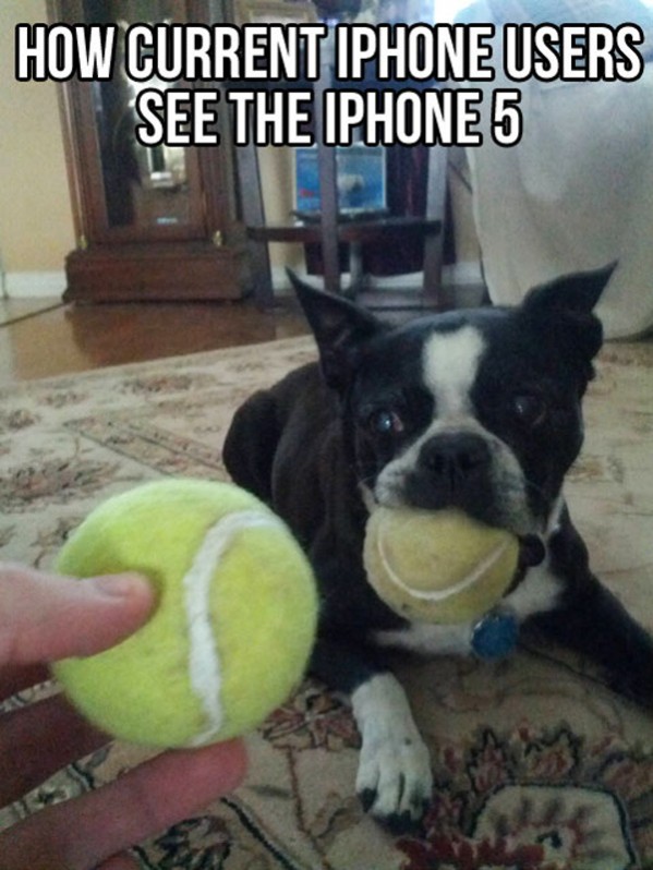 How we look at the new iPhone....
