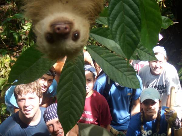 Photo-dump sloth