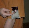 Cute kitty sleeve