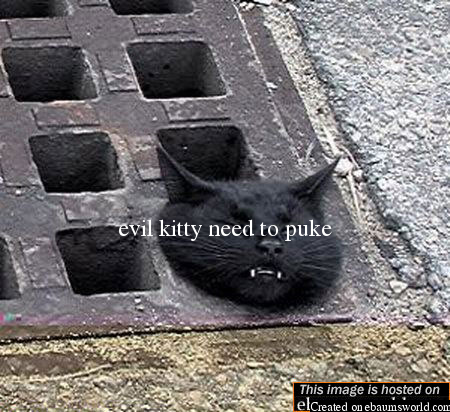 cat steck in drain
