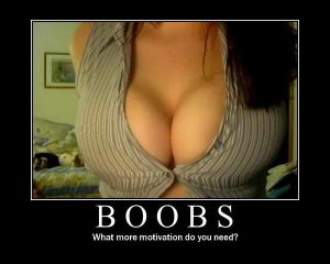 Boob De motivator old
