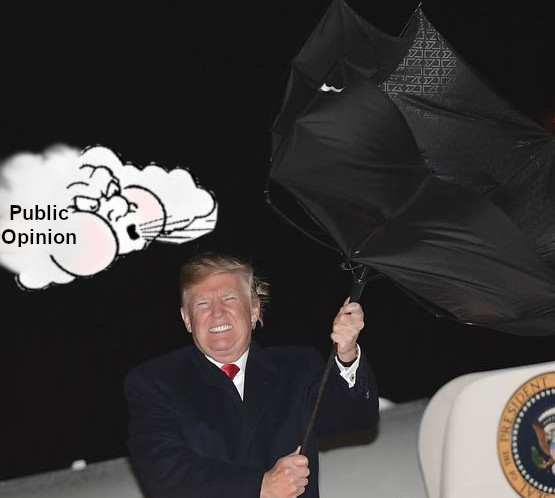 Did someone say umbrella?