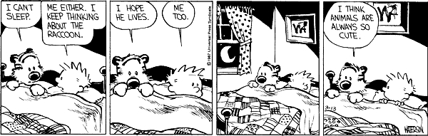 Calvin and Hobbes comic