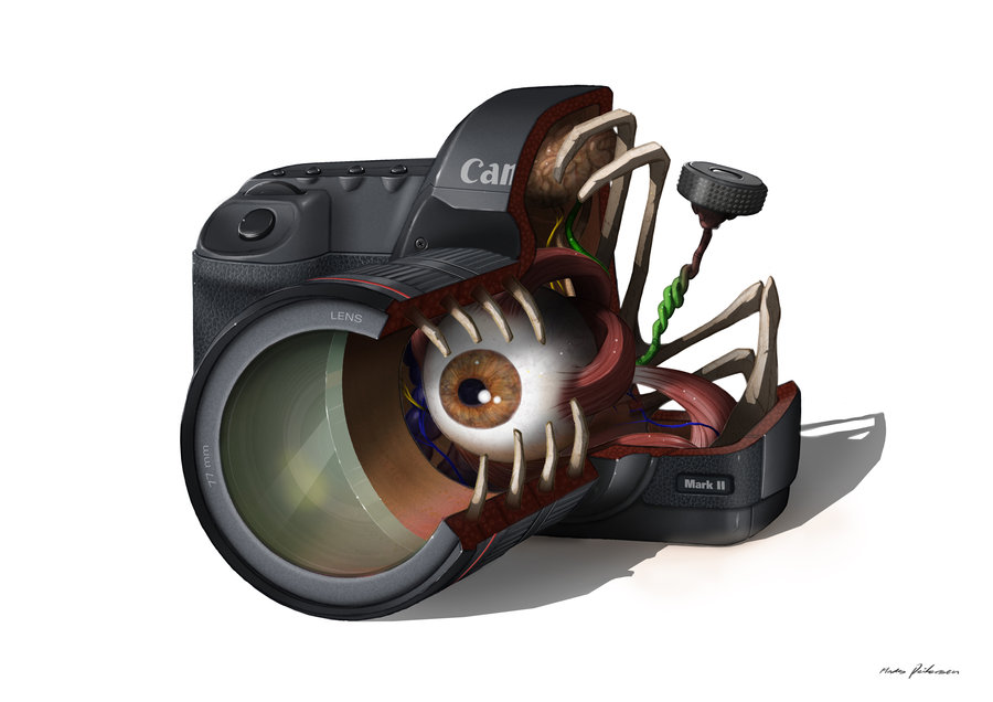 Canon 5D mark II Anatomy.