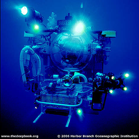 Deep Underwater Life