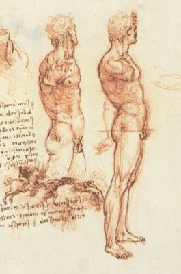 Leonardo's amazing drawings