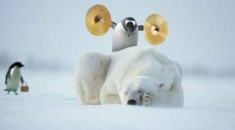 penguin and polar bear