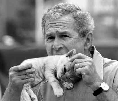 george bush eating cat