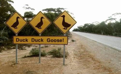horror road signs - Duck Duck Goose!